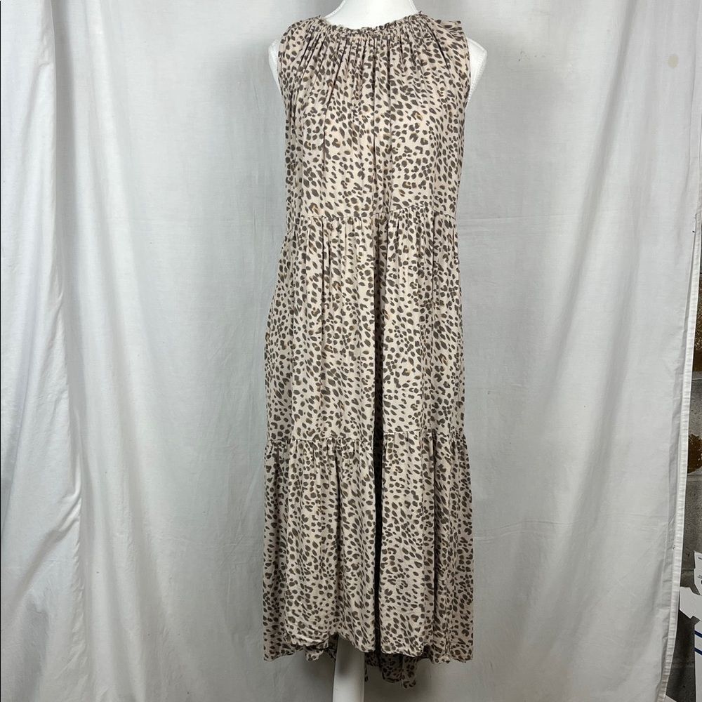 Petal and Pup Cheetah Print High Low Maxi Dress
